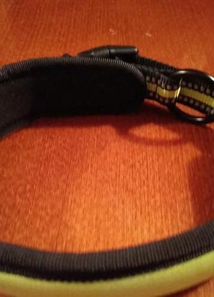 Ошейник для собаки.