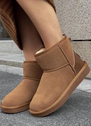 Ugg camel8 фото