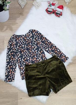 Набор для девочки на 5 лет: леопардовый реглан + велюровые шорты1 фото