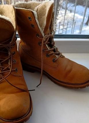Зимові черевики timberland
