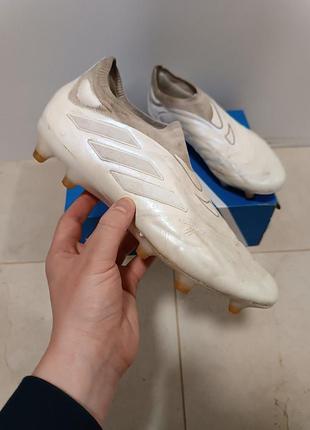 Бутси adidas copa pure+ firm ground boots white (hq8891) оригінал