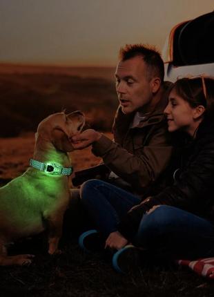 Ошейник для собаки, перезаряжаемый  со светодиодной подсветкой 3-в-1, 100% водонепроницаемый5 фото