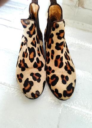 Ботинки челси леопард5 фото
