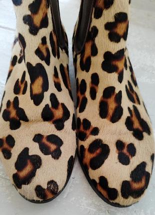 Ботинки челси леопард2 фото
