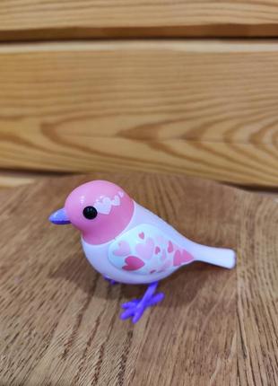 Пташка співаюча іграшка silverlit digi bird