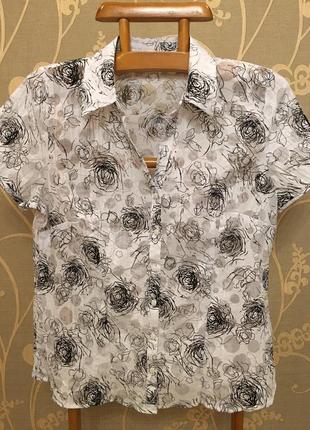 Величезний вибір гарних блуз і сорочок.