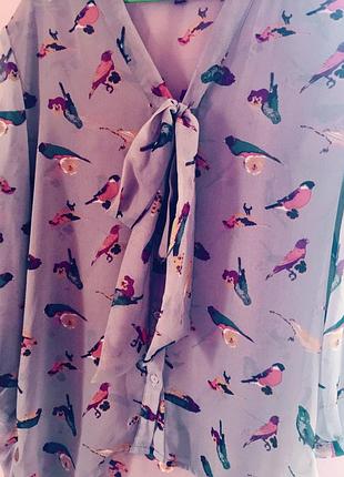 Блуза шикарна від англійського бренду london uttam