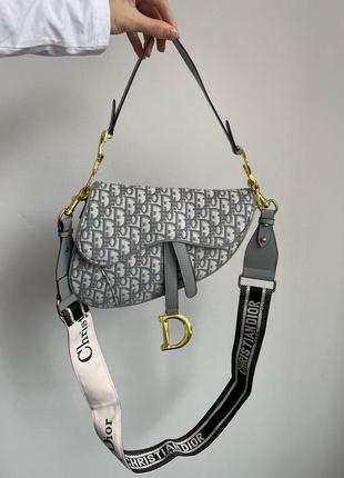 Christian dior saddle bag gray oblique embroidery