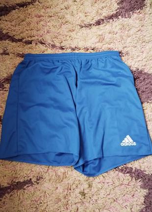 Спортивные шорты adidas