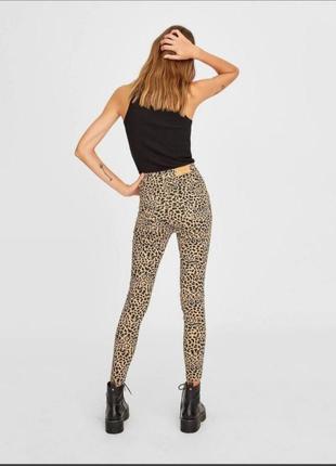 Леопардовые джинсы скинни с высокой талией2 фото