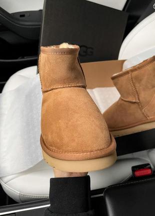 Угги уггі уги ugg mini ginder5 фото