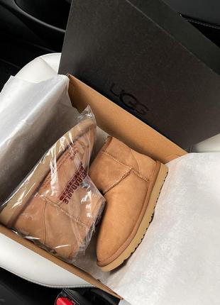 Угги уггі уги ugg mini ginder8 фото