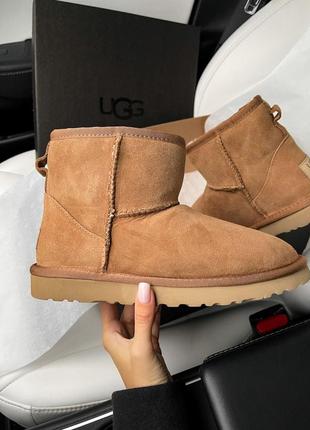 Угги уггі уги ugg mini ginder4 фото