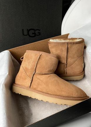 Угги угги угги ugg mini ginder