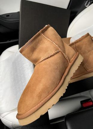 Угги уггі уги ugg mini ginder7 фото