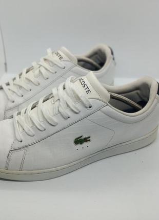 Lacoste2 фото