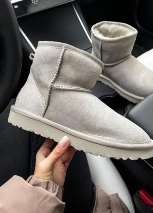 Уггі угги уги ugg mini ligth grey2 фото