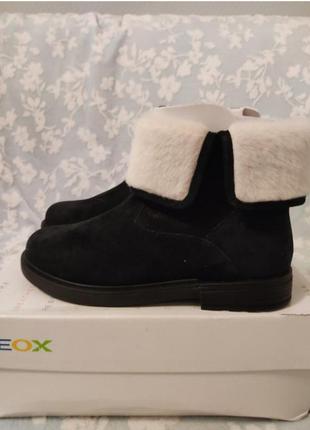 Демісезонні черевики geox, розмір 393 фото