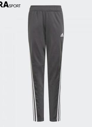 Спортивный костюм adidas 3-stripes team5 фото