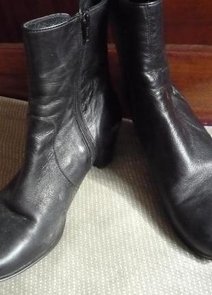 Женские ботиночки от фирмы (  eveiybody ) размер 39.5