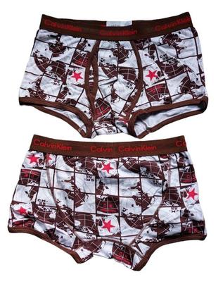 Мужские трусы-боксеры боксерки calvin klein underwear 365 в 36 разных цветах кельвин кляйн6 фото