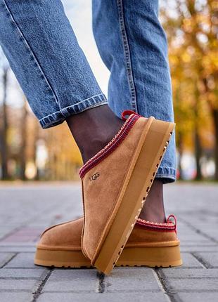 Короткі уггі ugg tasman platform chestnut