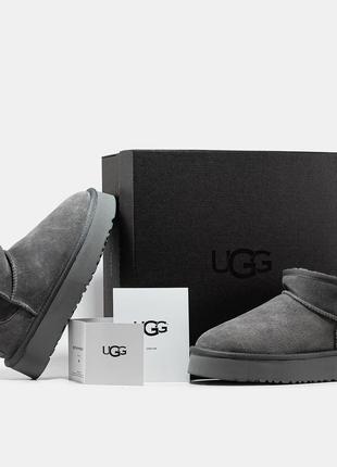 Ugg classic mini сірі замшеві зимові уггі унісекс жіночі теплі, стильні чоботи 36-415 фото