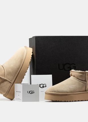 Ugg classic mini бежевые замшевые зимние угги унисекс женские теплые, стильные сапоги 36-415 фото