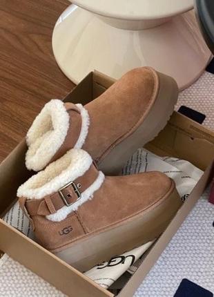 Теплые ugg platform5 фото