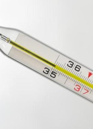 Градусник ртутний °c медичний термометр скляний у футлярі2 фото