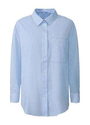 Рубашка блуза из хлопка esmara нимечья, размер 40 евро (46евро)2 фото