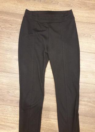 Лосіни жіночі