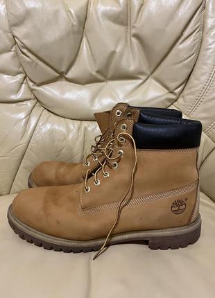 Черевики timberland 6-inch premium boot