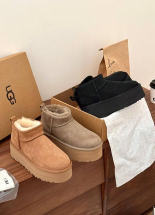 Ugg угги на платформе сапоги зима ultra Stuffie platform beige9 фото