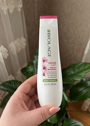 Шампунь для фарбованого волосся biolage colorlast shampoo1 фото