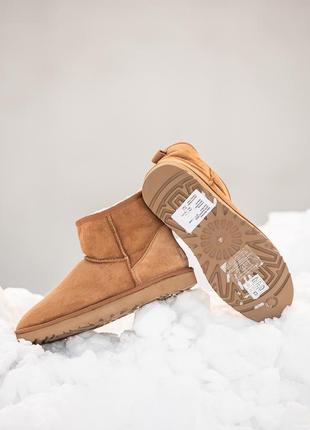 Угги ugg mini3 фото