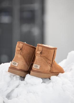 Угги ugg mini10 фото