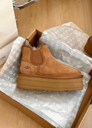 Ugg угги челси на толстой подошве зимние ботинки