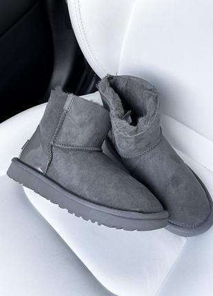 Уггі жіночі сірі (графітові) замшеві ugg zip mini grey lacquer 1 zip3 фото