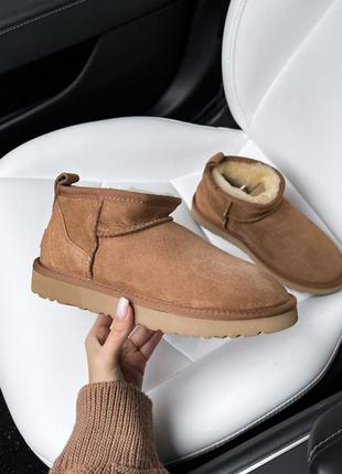 Угги угги угги ugg ultra mini chestnut3 фото