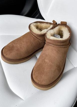 Угги угги угги ugg ultra mini chestnut5 фото