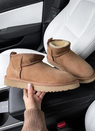 Угги угги угги ugg ultra mini chestnut4 фото