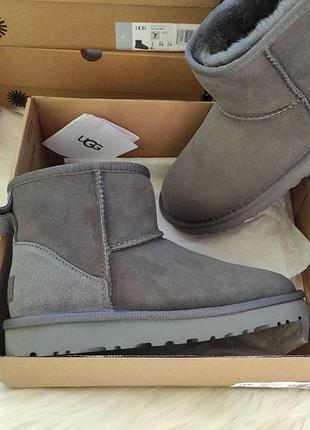 Топові жіночі уггі уги угги ugg australia4 фото