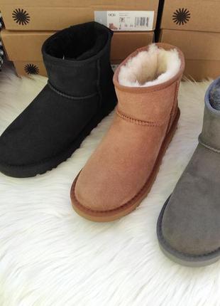 Топові жіночі уггі уги угги ugg australia7 фото