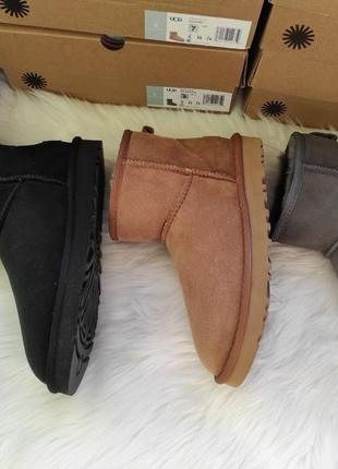 Топові жіночі уггі уги угги ugg australia8 фото