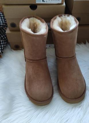 Самые теплые сапоги угги женские ugg australia