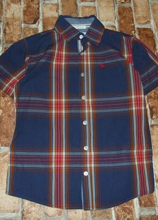 Хлопковая рубашка тенниска мальчику 11 лет jasper conran