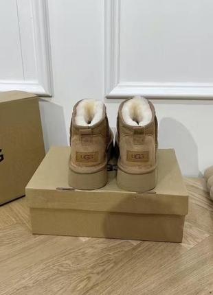 Сапоги ugg угги