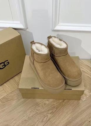 Сапоги ugg угги3 фото