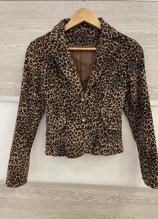 Піджак вельветовий